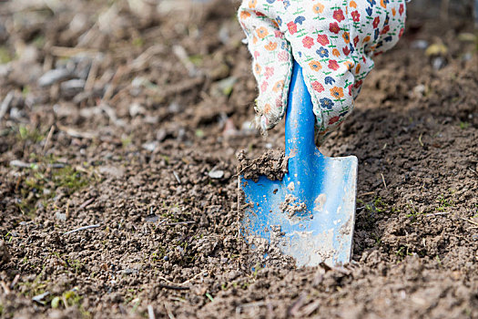 挖,洞,土地,花园