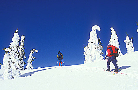 滑雪,旅游,卡里布,山峦,中心,不列颠哥伦比亚省,加拿大