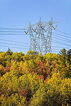 水电,塔,高处,秋天,色彩,叶子,魁北克,加拿大