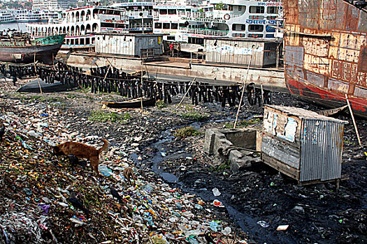 污染,堤岸,威胁,水平,垃圾,违法,活动,达卡,孟加拉,五月,2007年