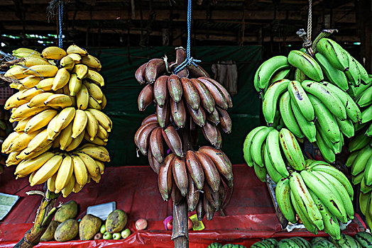 水果摊,香蕉,中央省,斯里兰卡,亚洲