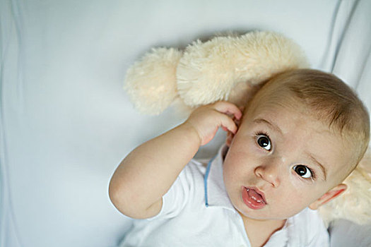 婴儿,卧,迎面,毛绒玩具,抬眉,接触,耳