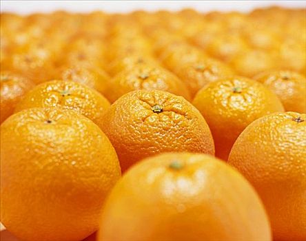许多,橘子