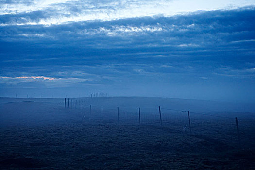 围栏,雾状,夏天,晚间,冰岛
