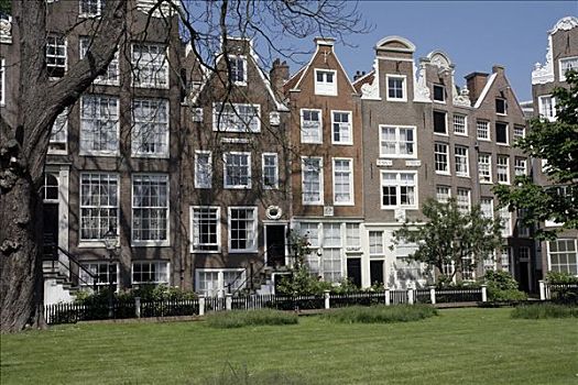 院落,房子,阿姆斯特丹,荷兰,欧洲
