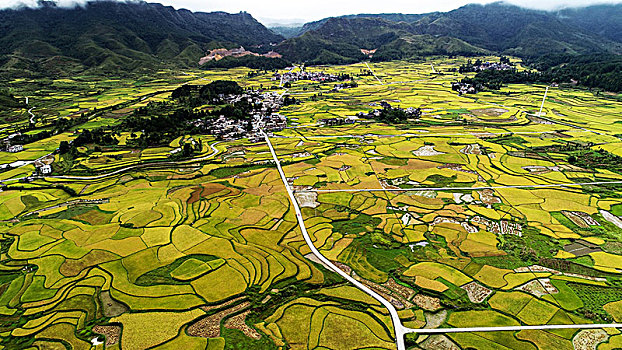 贵州龙里湾滩河镇金批村丰收田园