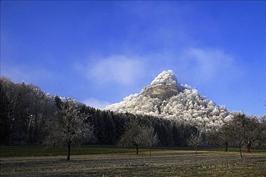 霜冻,山,巴登符腾堡,德国,欧洲
