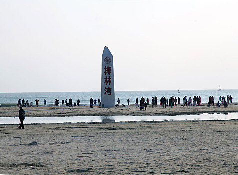 海南文昌,椰林湾,全球最美养生文化旅游胜地