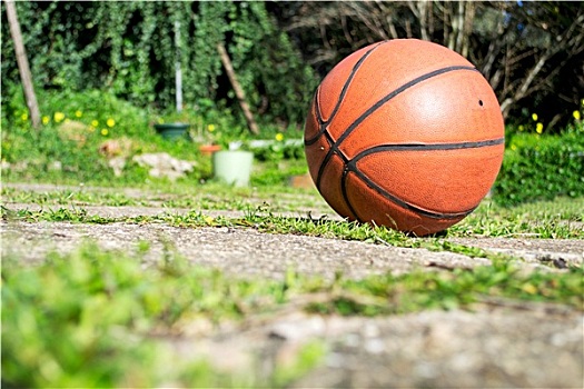 篮球,地上