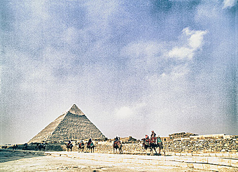 贝多因人,骑,骆驼,金字塔,远景,吉萨金字塔,埃及