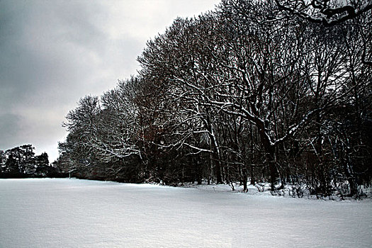 雪,公园