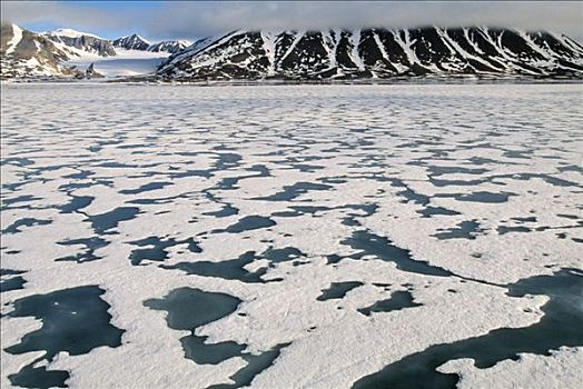 北极,夏天,冰雪景观,融化,海冰,挪威