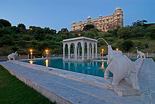 游泳池,堡垒,宫殿,酒店,拉贾斯坦邦,印度