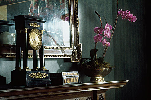 特写,钟表,花,花瓶,壁炉架