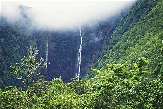 夏威夷,夏威夷大岛,威庇欧山谷,相似,瀑布,茂密,绿色植物