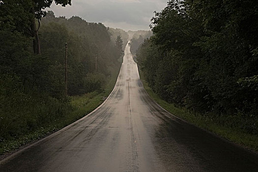 乡间小路,雨天,安大略省,加拿大