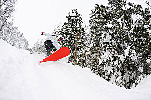 滑雪板玩家,跳跃,自由,乘,粉状雪,冬天