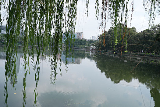 羊城广州国庆假日流花湖公园美丽景色
