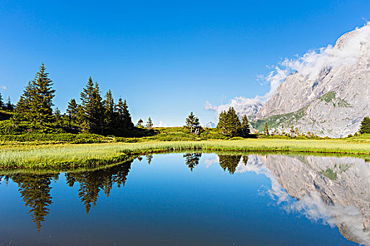 山,反射,高山,湖,伯尔尼阿尔卑斯山,瑞士