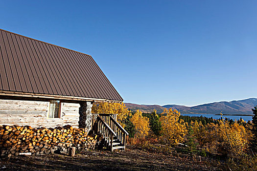 木屋,柴火,鱼,湖,后面,秋天,深秋,育空地区,加拿大