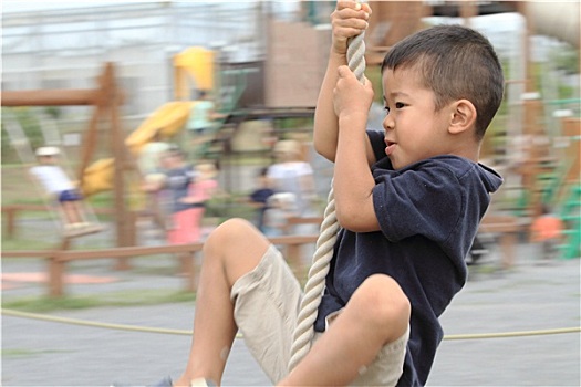日本人,男孩,玩,人猿泰山,绳索,4岁