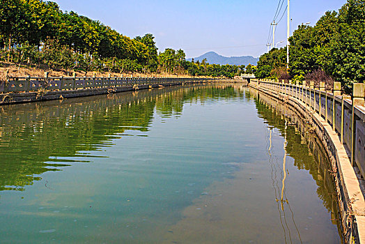 鄞州,东吴镇,东新河,水环境治理,河道,绿化,护坡,五水共治