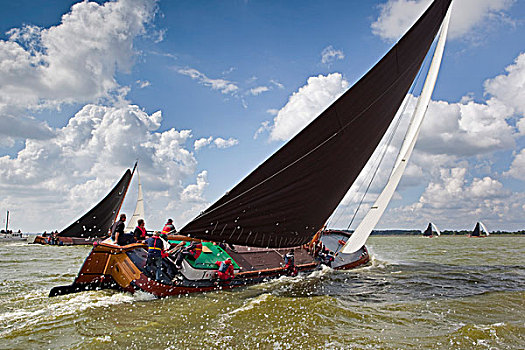 荷兰,航行,比赛,传统,平整,货物,船