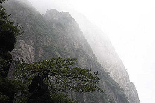 湖南,莽山