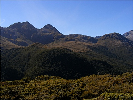 路,米尔福德峡湾