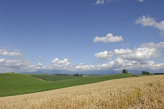 柔和,山