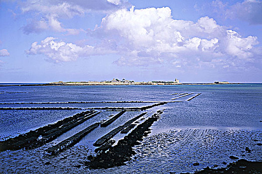 法国,诺曼底,岛屿,牡蛎养殖场