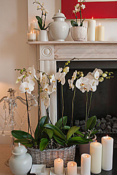 白色,柱子,蜡烛,兰花,正面,壁炉,壁炉架