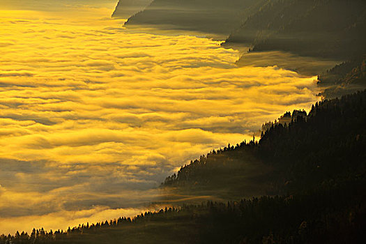 黎明,上方,云,山,阿尔卑斯山,伯尔尼,瑞士
