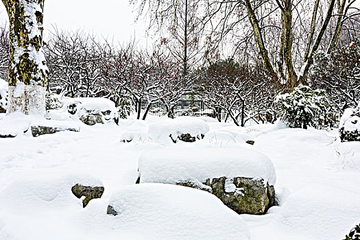 园林雪景