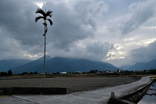 池上,风景