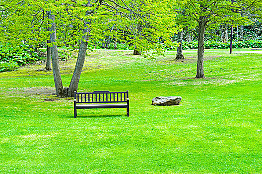 长椅,公园