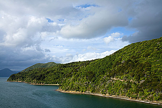 水道,山峦,声音,皮克顿,马尔伯勒,南岛,新西兰