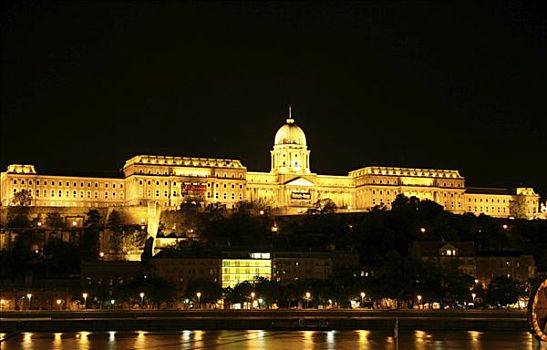 城堡,历史,匈牙利,国王,夜晚,布达佩斯,欧洲