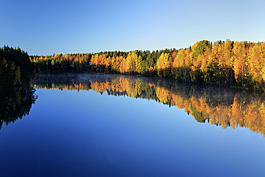 欧洲,芬兰,卡瑞里亚,秋天风景