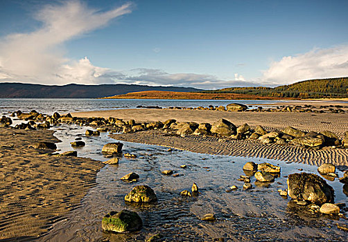 岩石,海滩,阿盖尔郡,苏格兰