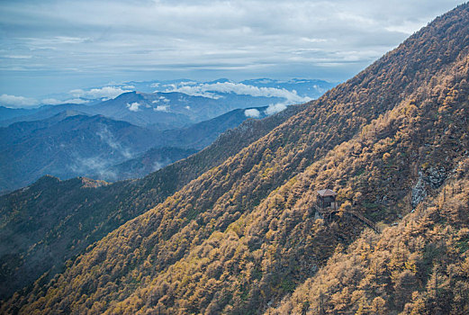 山景