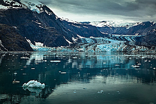 冰河,反射,小湾,冰河湾国家公园,保存,东南阿拉斯加,夏天