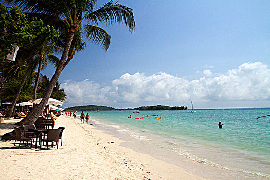 海滩,海湾地区,泰国,岛屿,苏梅岛