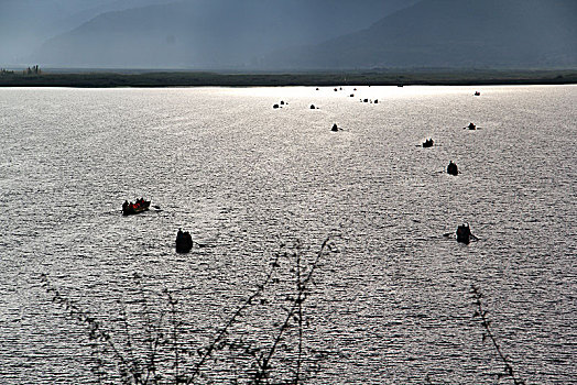 美丽泸沽湖