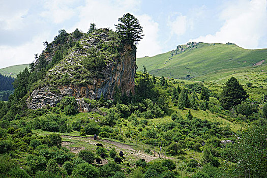 则岔石林