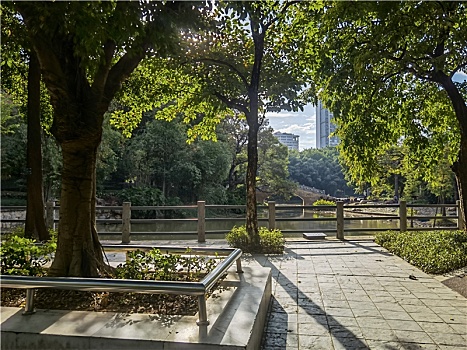 广州2022年冬天的早晨天河公园随拍美景
