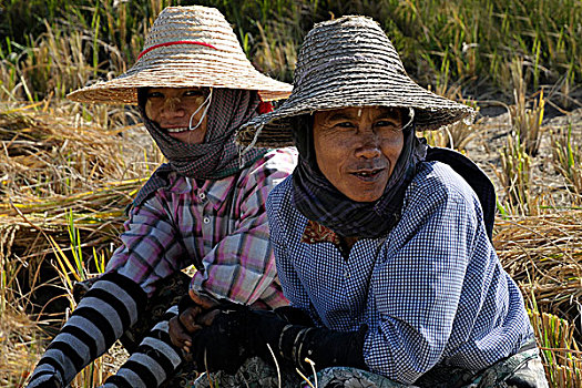 两个女人,稻田,缅甸,亚洲