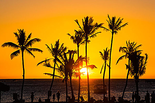 日落,柯哈拉海岸,阿纳耶霍玛鲁湾,湾,夏威夷大岛,夏威夷,美国,北美