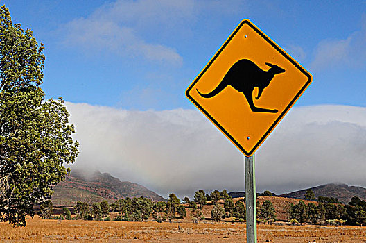 澳大利亚,澳洲南部,弗林德斯山国家公园,袋鼠,路标,道路