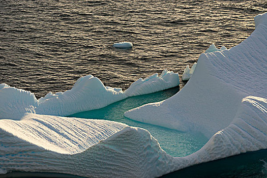 南极,海峡,港口,冰山